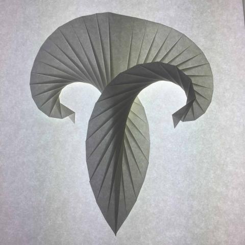 Aries