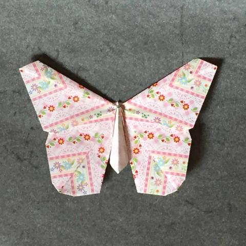 Origamido Butterfly