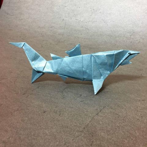 Blue Shark