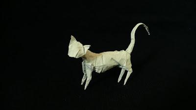 Cat (CP)