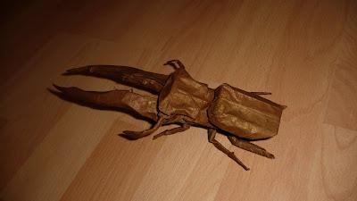 Cyclommatus metalifer 2.0