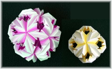 Chrysanthemum Ball