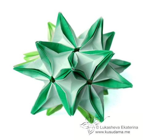 Trifolium