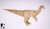 Gallimimus