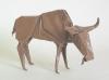 Gnu