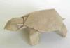 Tortoise