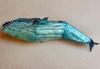 Blue Whale