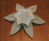 Snow flower (hexagon)