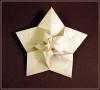 5-Fold Flower (CP)