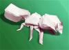 Ant
