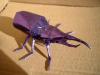 Hercules Beetle