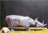 Rhinoceros