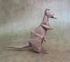 Kangaroo