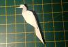 Bird Resting