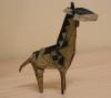 Spotted Giraffe