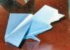 Pajaro cabezon