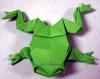 Frog with Toes