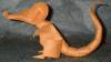 Rat
