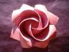 One-minute rose