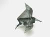 Pteranodon