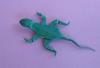 Lizard