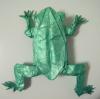 Tree Frog