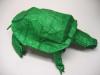 Western Pond Turtle