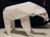 Oso Polar
