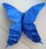 Mariposa