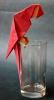 Scarlet Macaw
