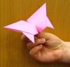Intermediate Flapping Butterfly