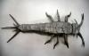 Silverfish