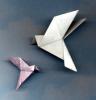 Peace dove