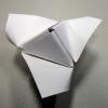 Business Card Trefoil