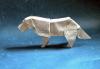 Golden retreiver