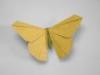Origamido Butterfly