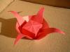 Box Bloom