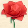 Miniature Rose 