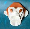 Chimpanzee