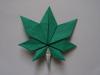 Maple Leaf (video)