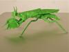 Mantis Boxer