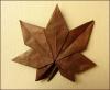 Maple Leaf