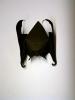 Bat
