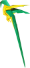 Macaw