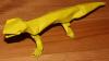 Leopard Gecko