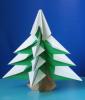 Fir tree