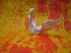 Swan