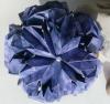 Chrysanthemum Ball