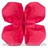 Tropical Flower