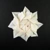 Flower A